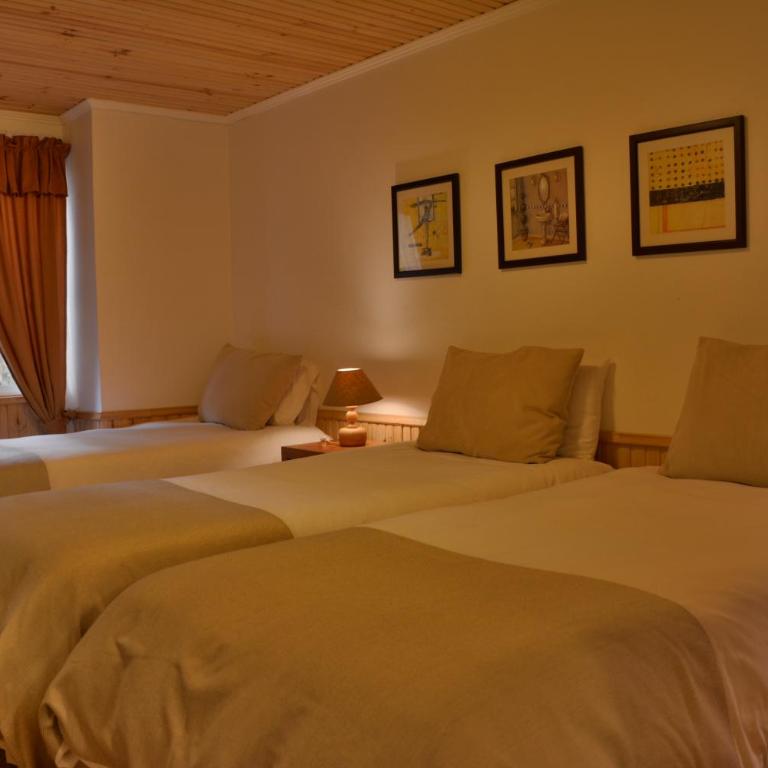 Hotel y Cabañas Borde Andino - Cabaña Central Estandar - 4 pers. - 6