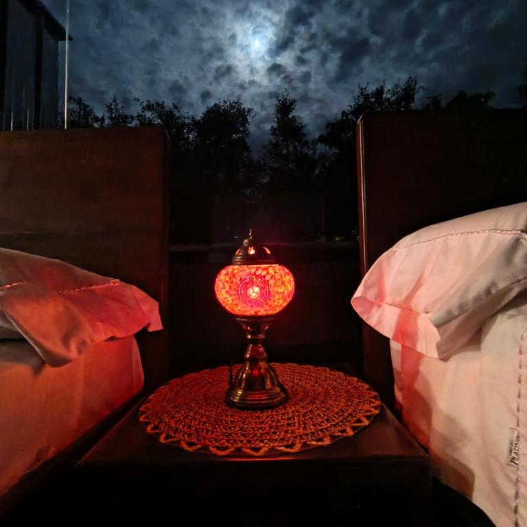 Cabaña privada Glamping via a termales - Casa con 1 dormitorio - 7