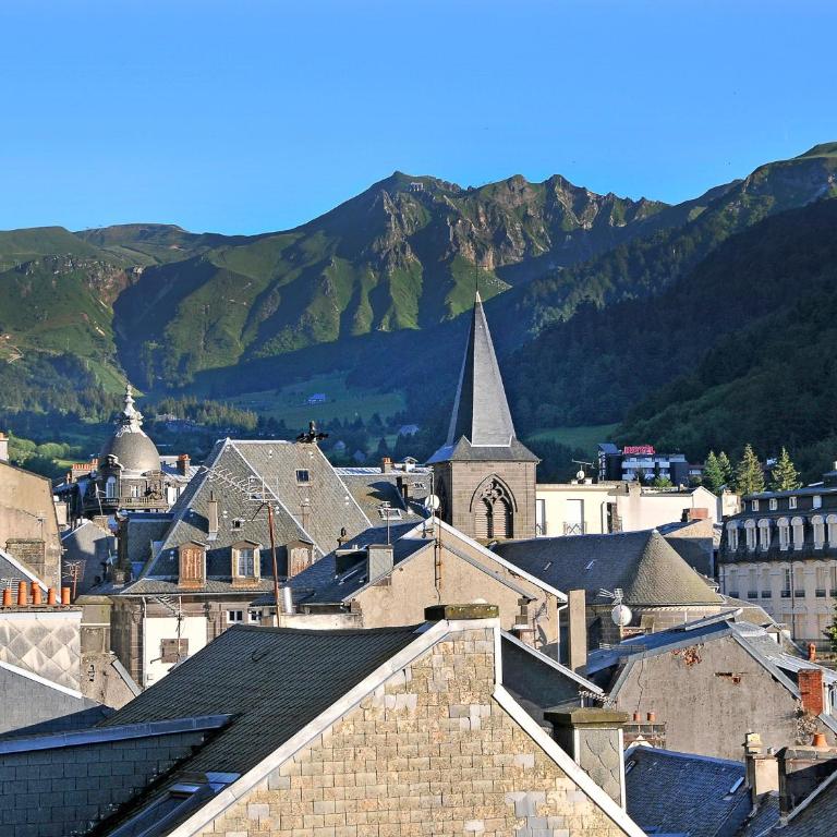 Appartement cosy, animaux acceptés, service conciergerie - FR-1-858-2 - Apartment - 13