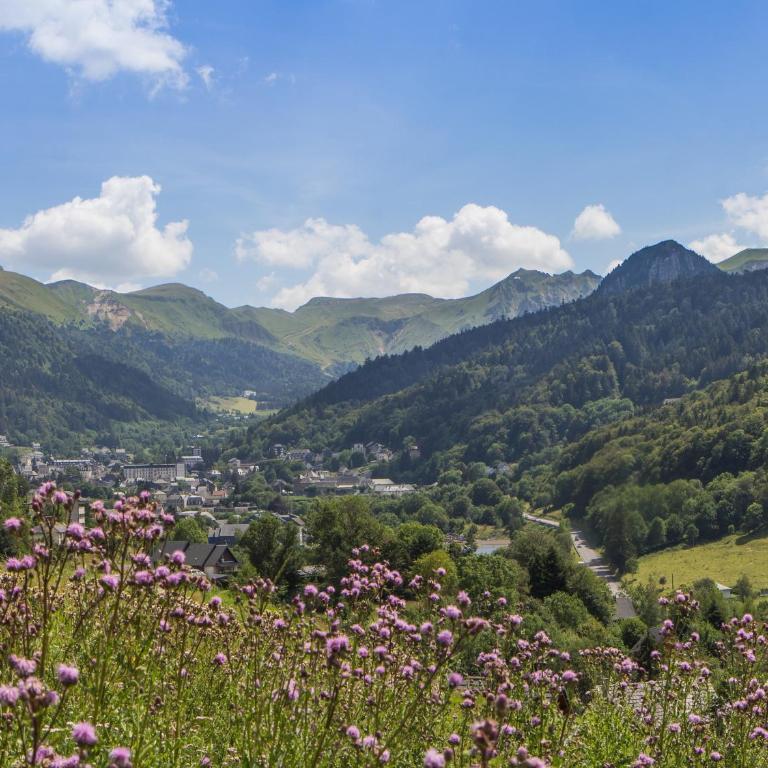 Appartement cosy 2 chambres au Mont-Dore, animaux admis - FR-1-858-24 - Apartment - 13