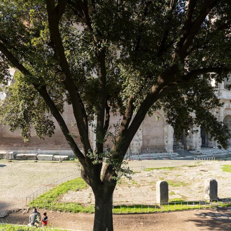 Silence next to the colosseum - Appartamento con 1 Camera da Letto - 4