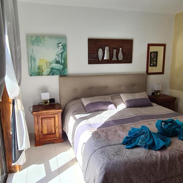 Caleta Beach House - Two-Bedroom House - 18