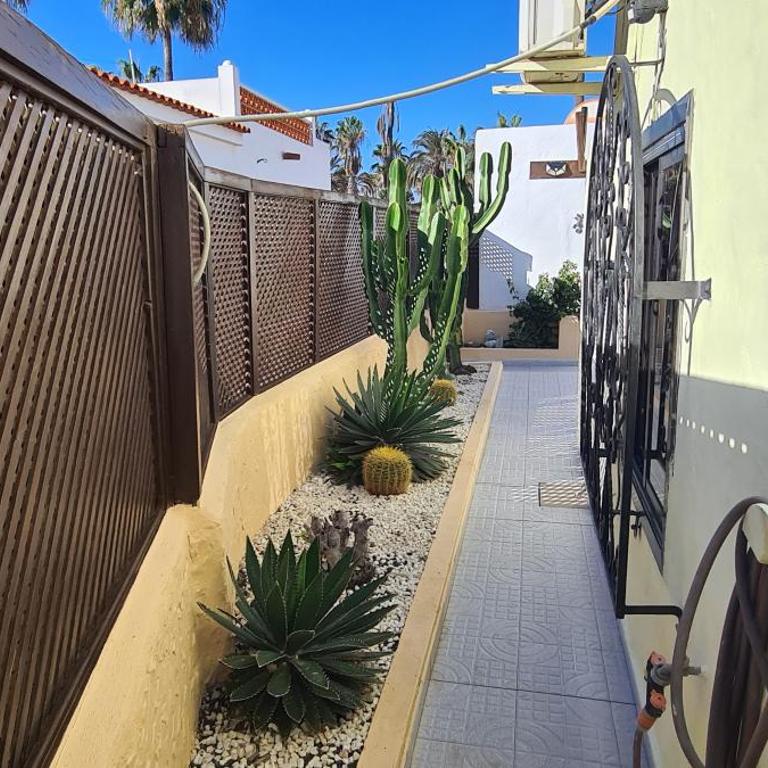 Caleta Beach House - Two-Bedroom House - 33