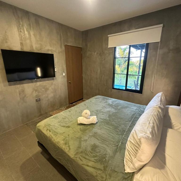 Eco Hotel La Colina Mirador Con aire acondicionado - Habitación Superior con cama extragrande - 1
