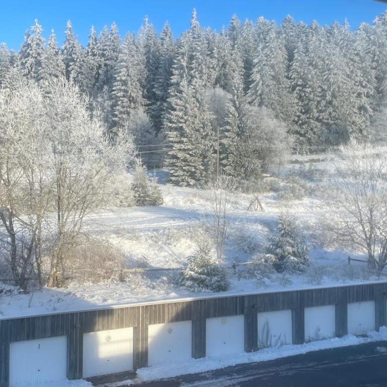 Evasion Gérardmer - Appartement 1 Chambre - 21
