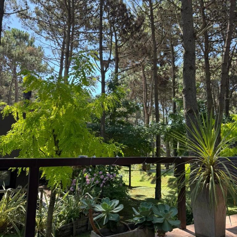 Jardines del Bosque - Two-Bedroom Apartment - 4