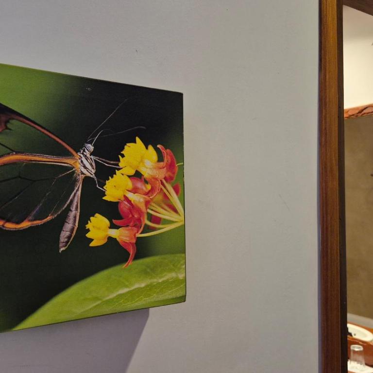 El Pueblito Iguazú - Habitación Doble - 2 camas - 5