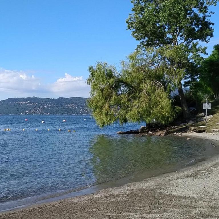 La Petite Dame - Lake Maggiore - 100 m from the lake - Casa Vacanze - 53