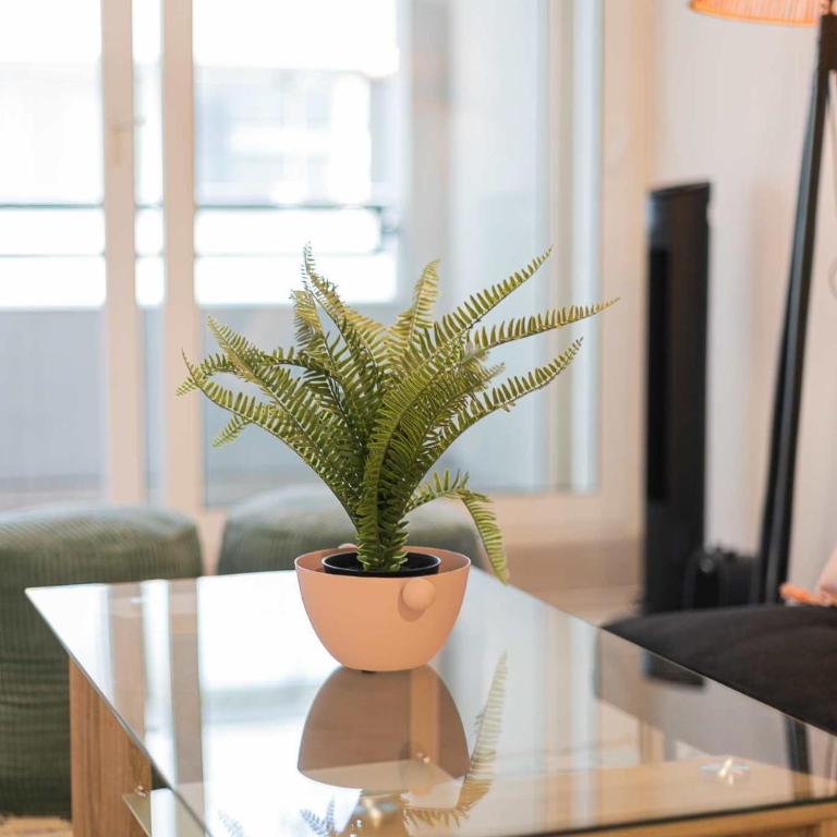 Urban apartment Santa Rosa Ideal for Couples - Apartment - 15