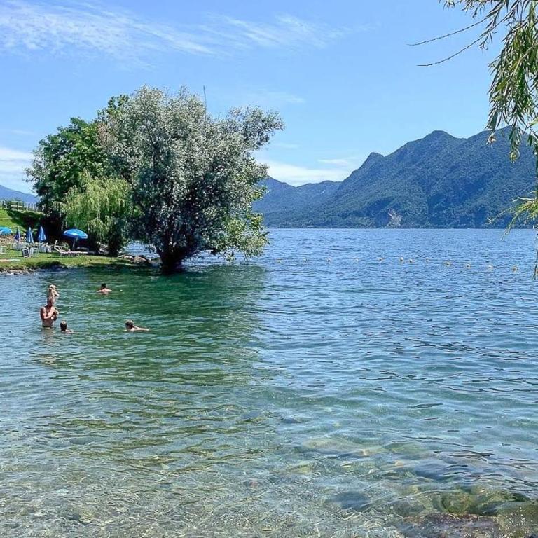 La Petite Dame - Lake Maggiore - 100 m from the lake - Casa Vacanze - 51