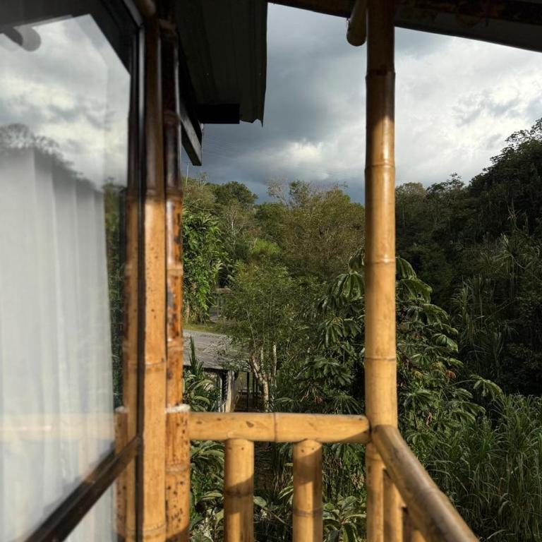 Suite Central Campestre - Casa Matula - One-Bedroom Apartment - 17