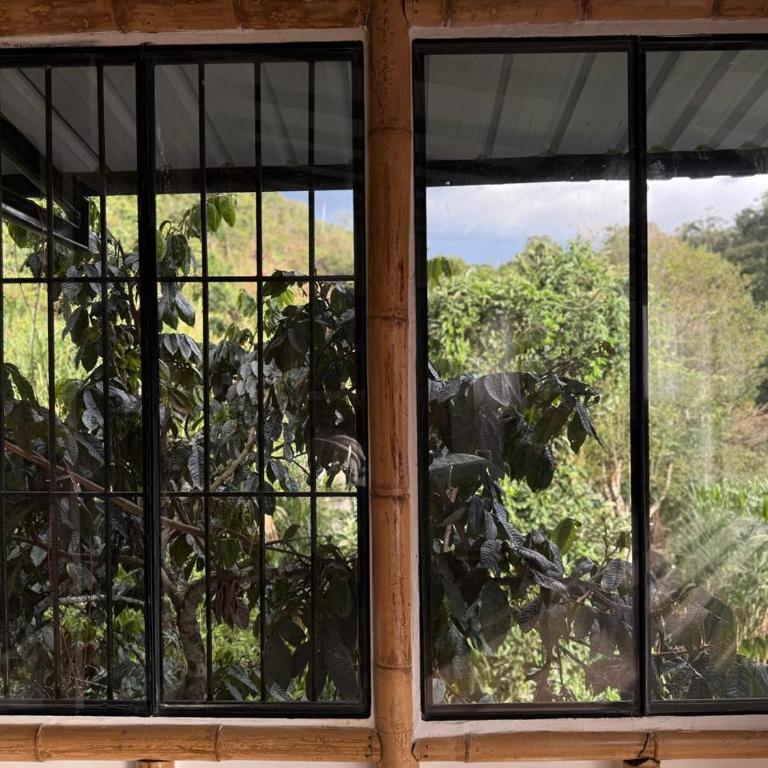 Suite Central Campestre - Casa Matula - One-Bedroom Apartment - 24