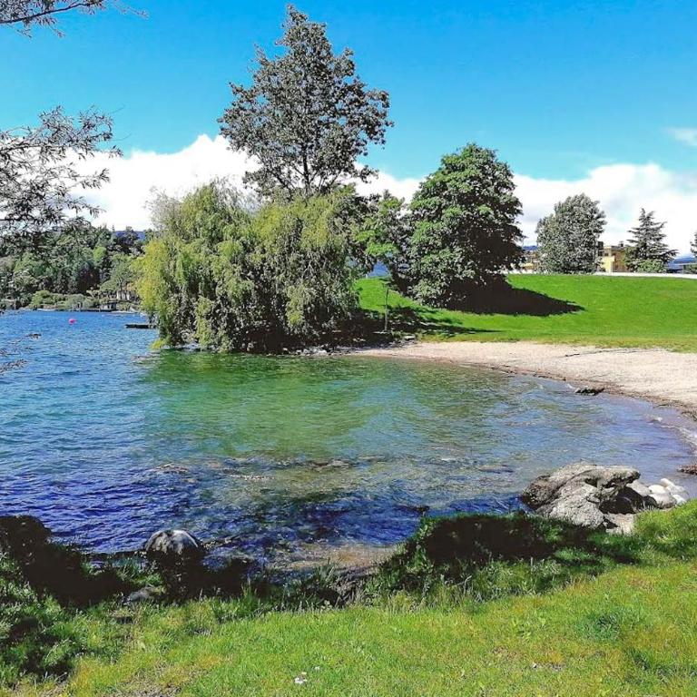 La Petite Dame - Lake Maggiore - 100 m from the lake - Casa Vacanze - 56