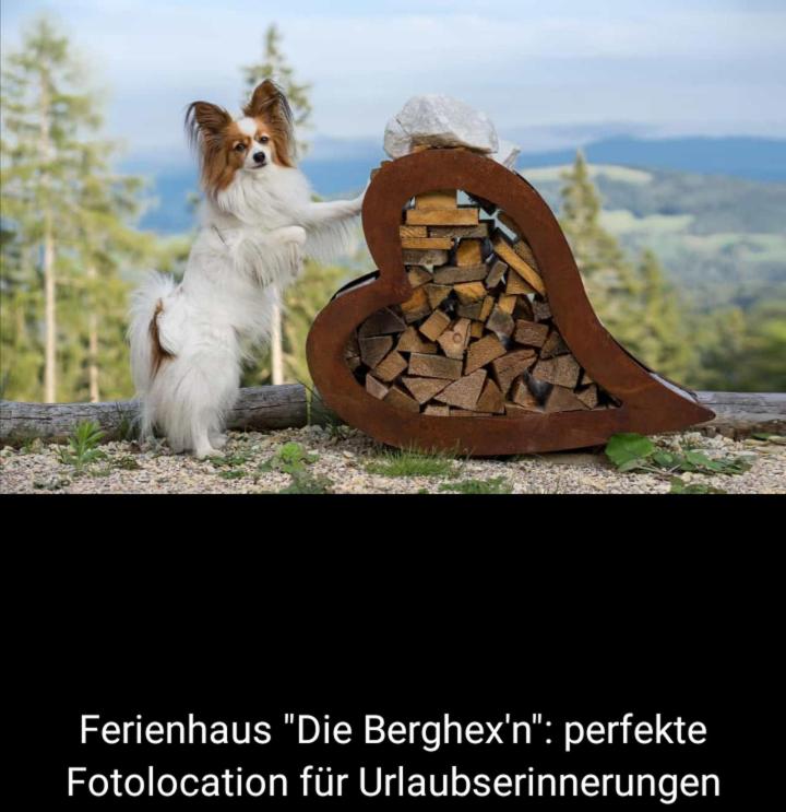 Chalet Die Berghexn - Haus mit 3 Schlafzimmern - 67
