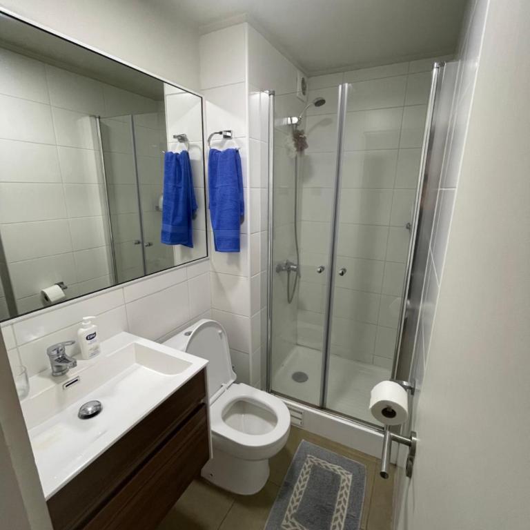 Departamento Estudio Amoblado - One-Bedroom Apartment - 3