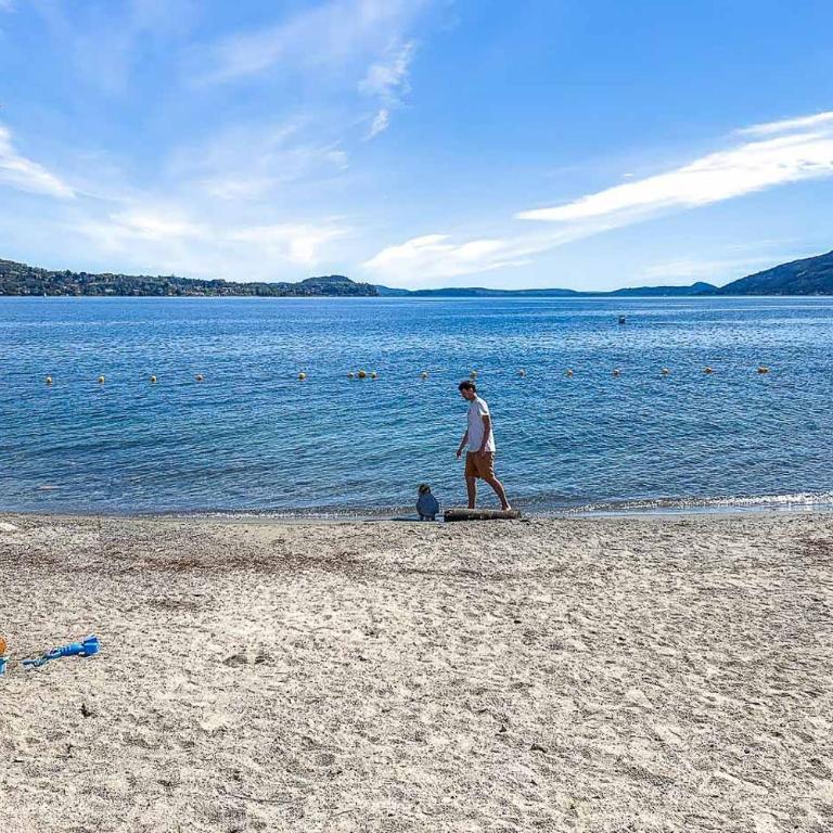 La Petite Dame - Lake Maggiore - 100 m from the lake - Casa Vacanze - 54