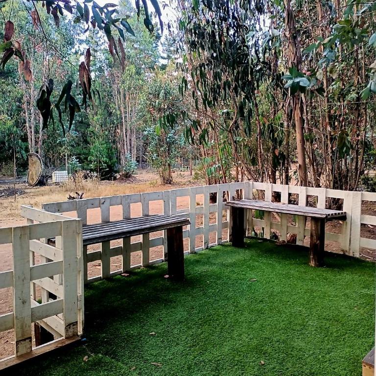 Cabañas Entre Bosques De Algarrobo - Apartamento de 1 dormitorio - 8