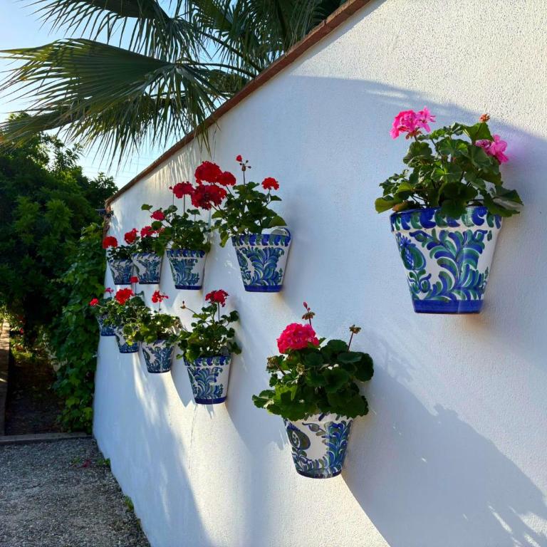 Finca Picaflor - Two-Bedroom House - 7