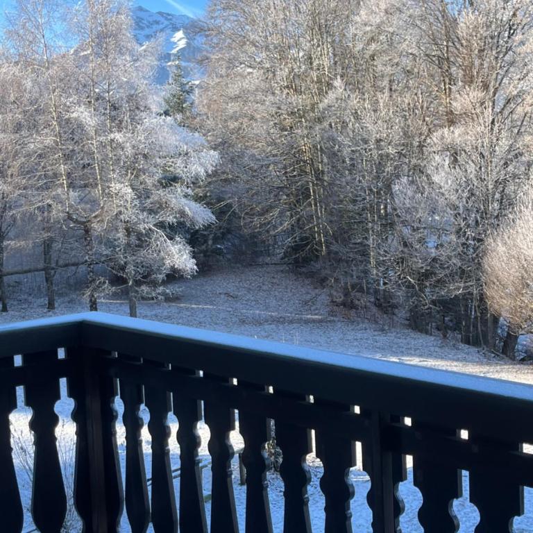 Carroz d Araches , 2 pièces rénové vue montagne, 4 personnes, 3 min du centre, parking,balcon - Appartement 1 Chambre avec Balcon et Vue sur les Montagnes - 14