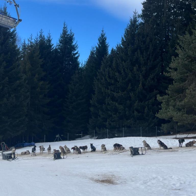 Carroz d Araches , 2 pièces rénové vue montagne, 4 personnes, 3 min du centre, parking,balcon - Appartement 1 Chambre avec Balcon et Vue sur les Montagnes - 19