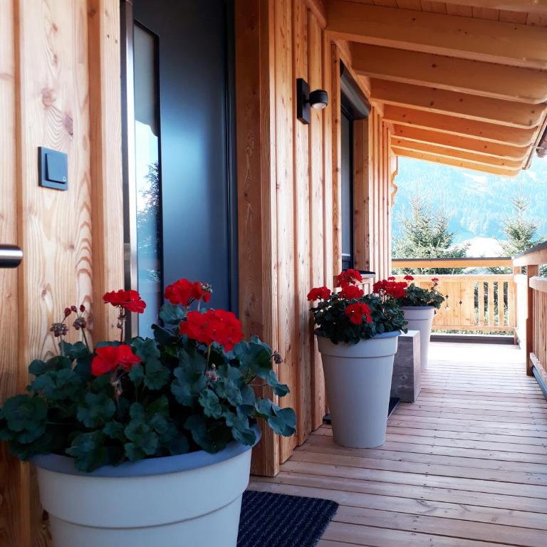 Apartchalet Sisi- including Saalfelden Leogang Card - Apartment mit 2 Schlafzimmern und Terrasse - 15