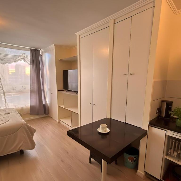 Centro I Metro Parque Almagro - One-Bedroom Apartment - 3