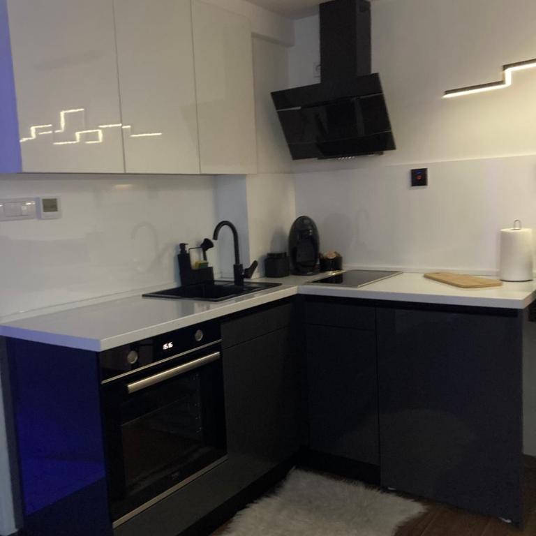 Star&spa - Apartman sa 1 Spavaćom Sobom - 13