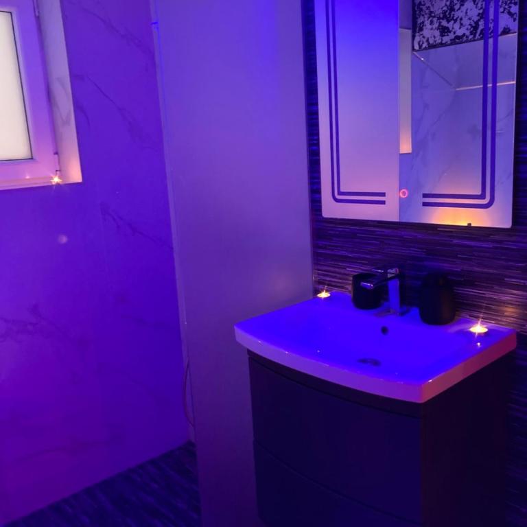 Star&spa - Apartman sa 1 Spavaćom Sobom - 17