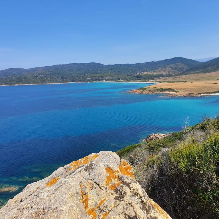 Le Balcon des Sanguinaires - studio cosy avec vue sur le Golfe d'Ajaccio et les Îles Sanguinaires - Apartment mit 1 Schlafzimmer - 9
