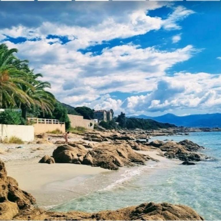 Le Balcon des Sanguinaires - studio cosy avec vue sur le Golfe d'Ajaccio et les Îles Sanguinaires - Apartment mit 1 Schlafzimmer - 11