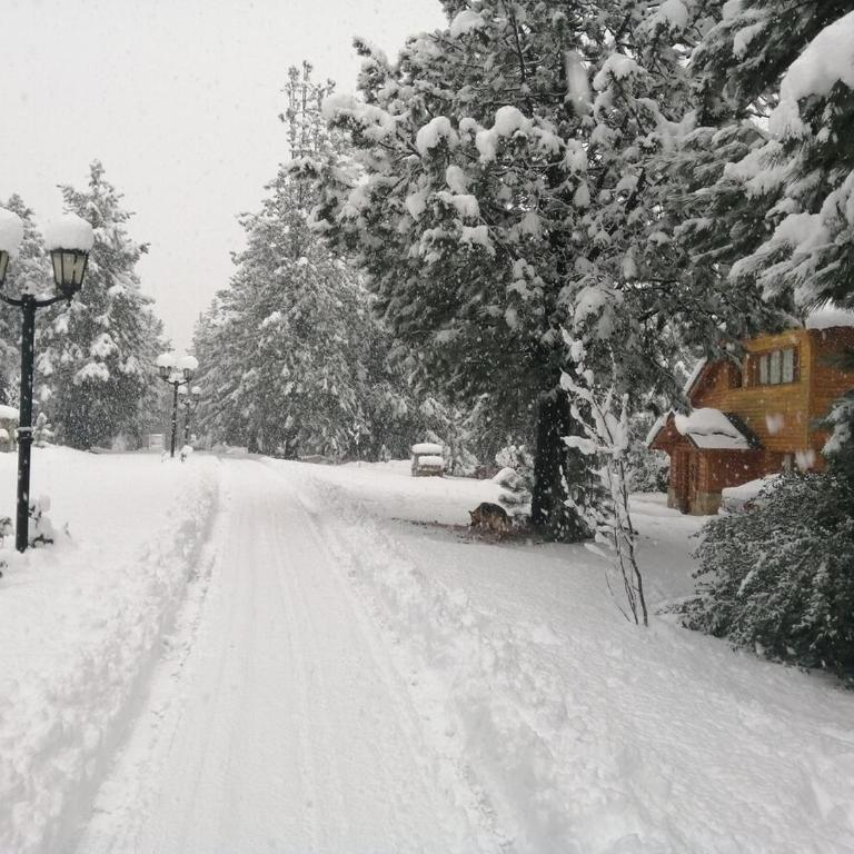 Casa en Bosque de Pinos - Casa de 4 dormitorios - 25