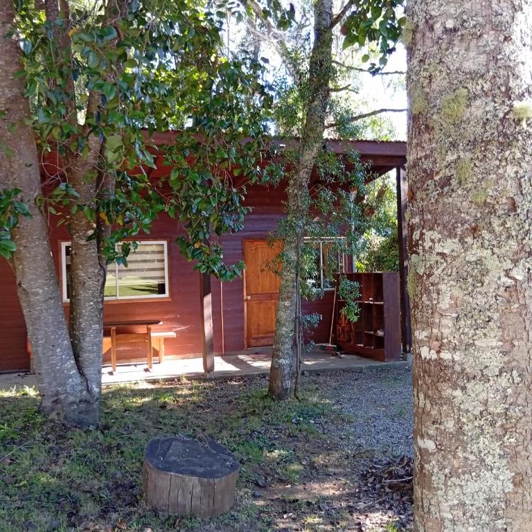 Cabaña Panguipulli chauquen - Two-Bedroom Apartment - 5