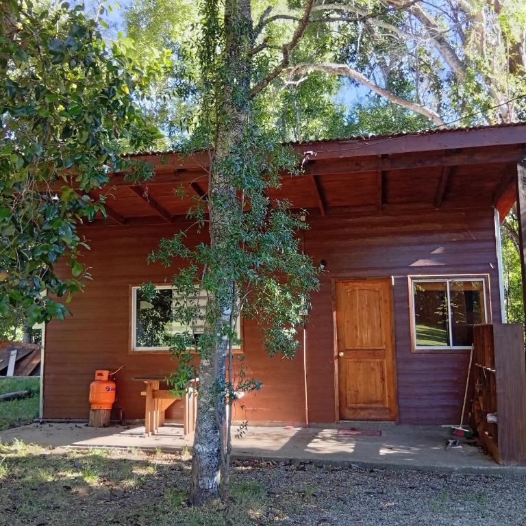Cabaña Panguipulli chauquen - Two-Bedroom Apartment - 10