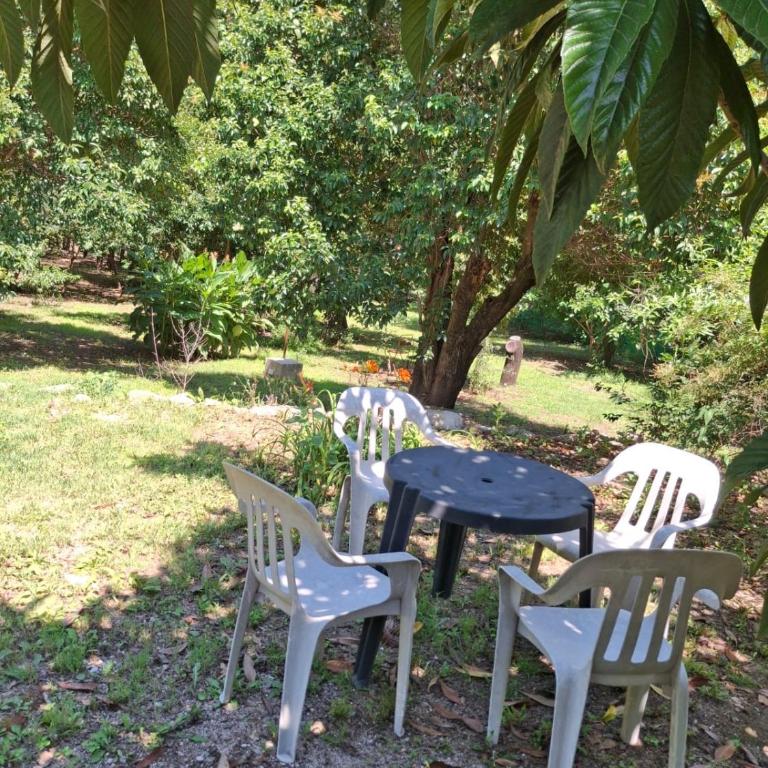 Casa de verano Marcos Lopez - Apartamento de 2 dormitorios - 14