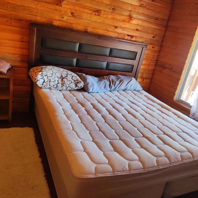 Carlos saund - Two-Bedroom Apartment - 5