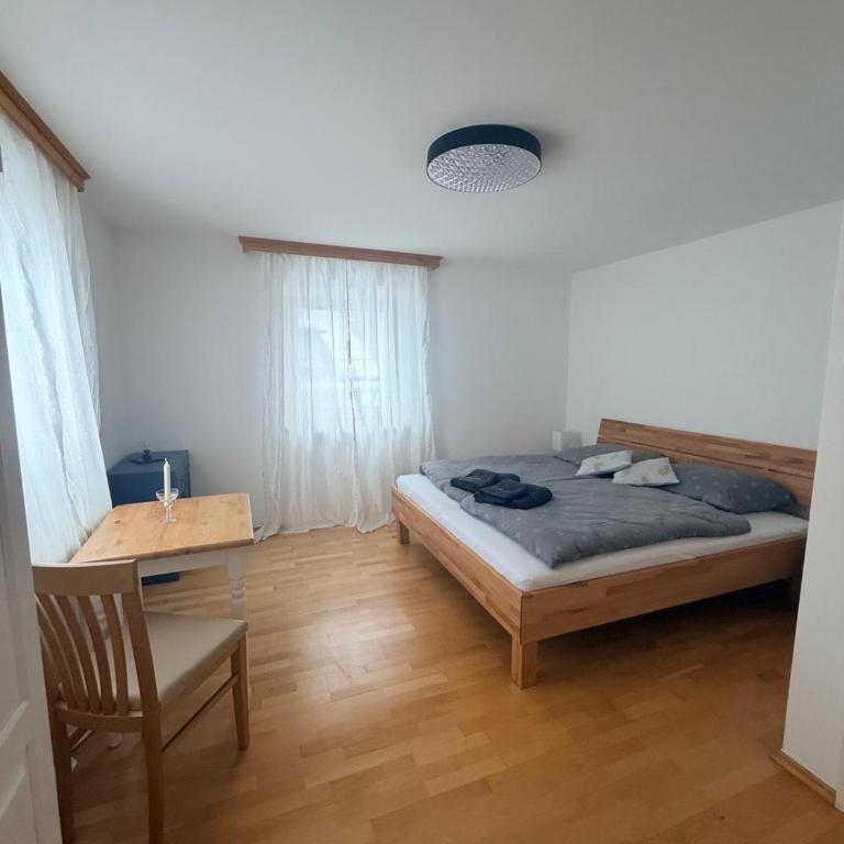 Haus zum schlafenden Riesen - Apartment - 18