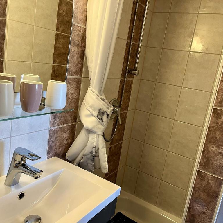 Gemütliches Dachgeschoss-Apartment mit Alpenblick - Apartment mit 1 Schlafzimmer - 8