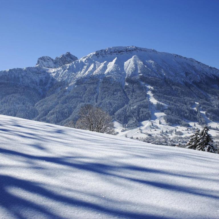 Gemütliches Dachgeschoss-Apartment mit Alpenblick - Apartment mit 1 Schlafzimmer - 15