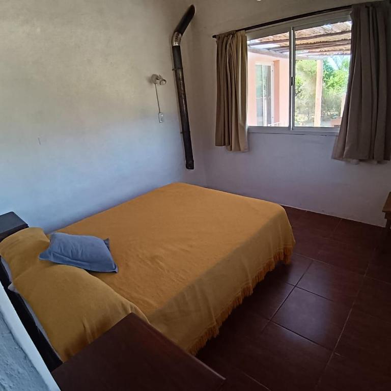 Departamento de 2 habitaciones - Casa de 2 dormitorios - 28