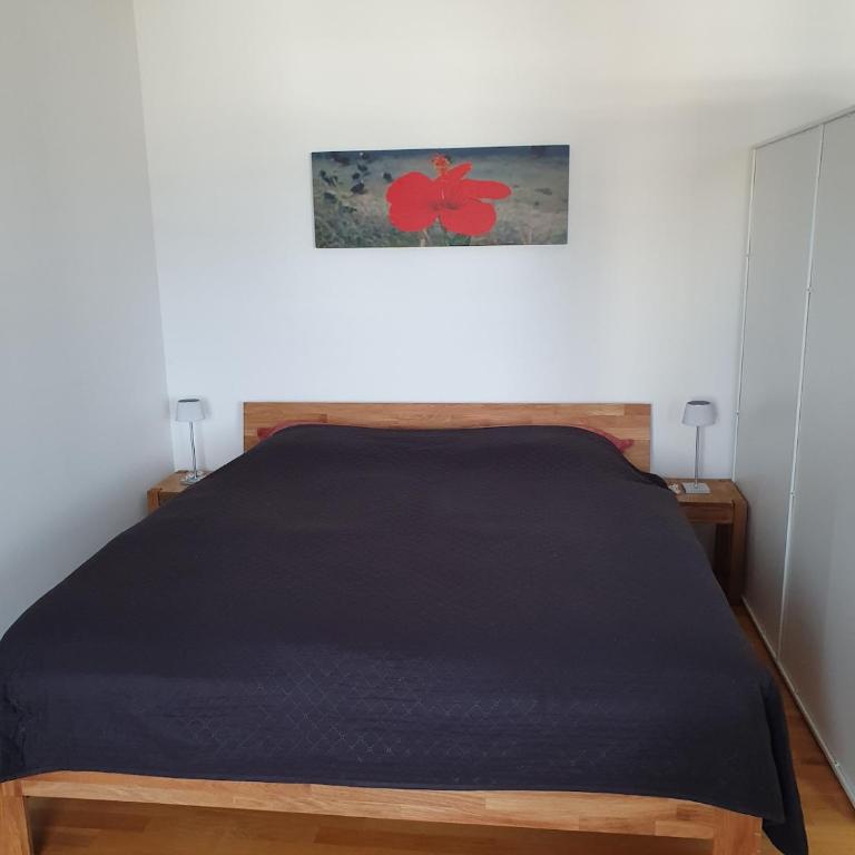 Microflat - Apartment mit 1 Schlafzimmer - 6