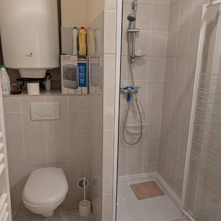 Le Palladium T2 1 chambre à 5mn des pistes avec garage - Appartement 1 Chambre - 24