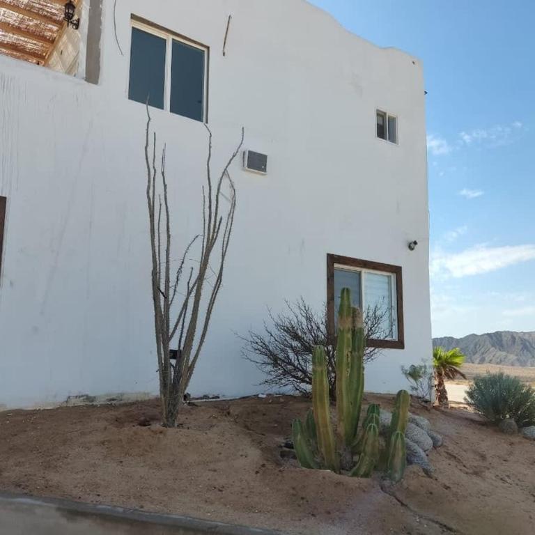 Seaside Mirage Bungalow - Apartamento - 39