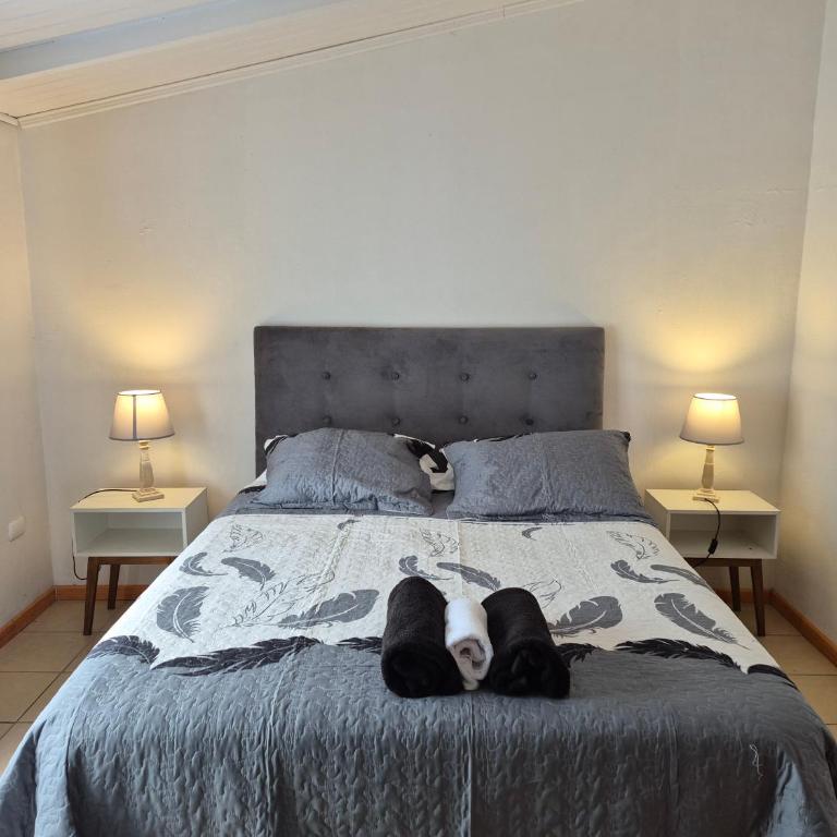 Departamento bahia fonck - Two-Bedroom Apartment - 5