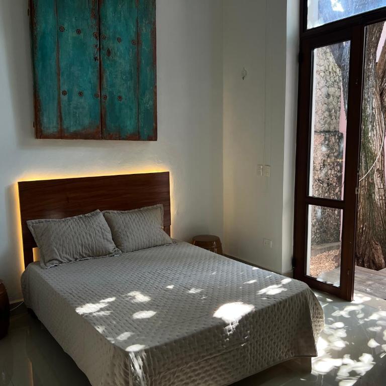 Hotelito DELI - Queen Room with Pool View - 6