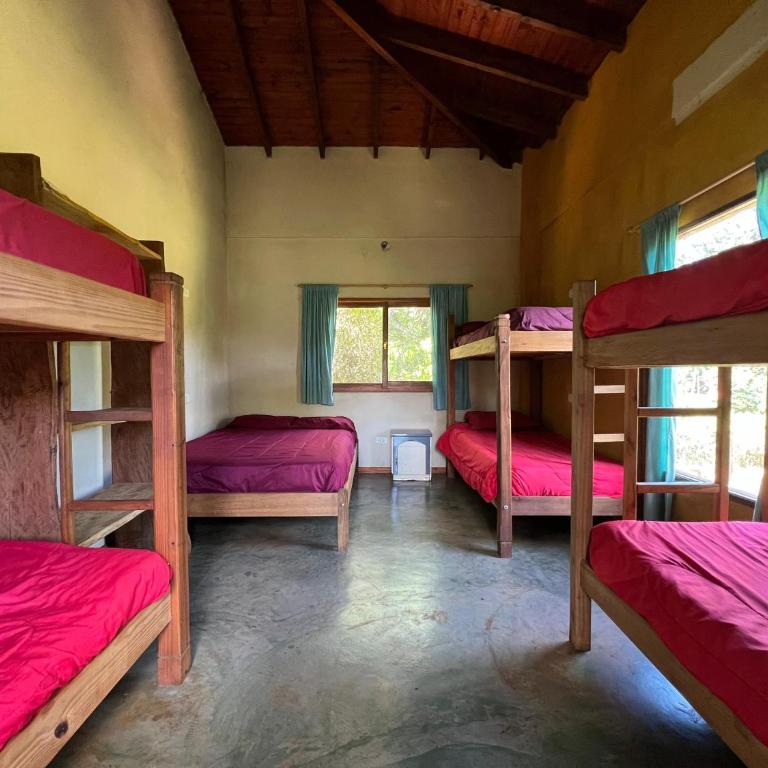 Nativa Iguazu - Cama en habitación compartida de 6 camas - 1