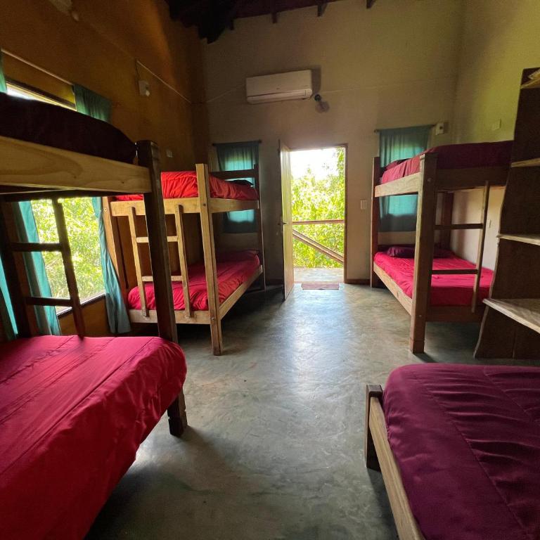 Nativa Iguazu - Cama en habitación compartida de 6 camas - 2