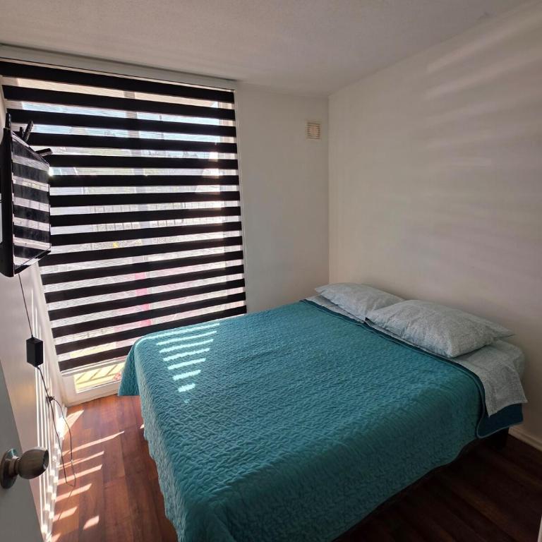 Depto en villarrica - Apartamento de 2 dormitorios - 8