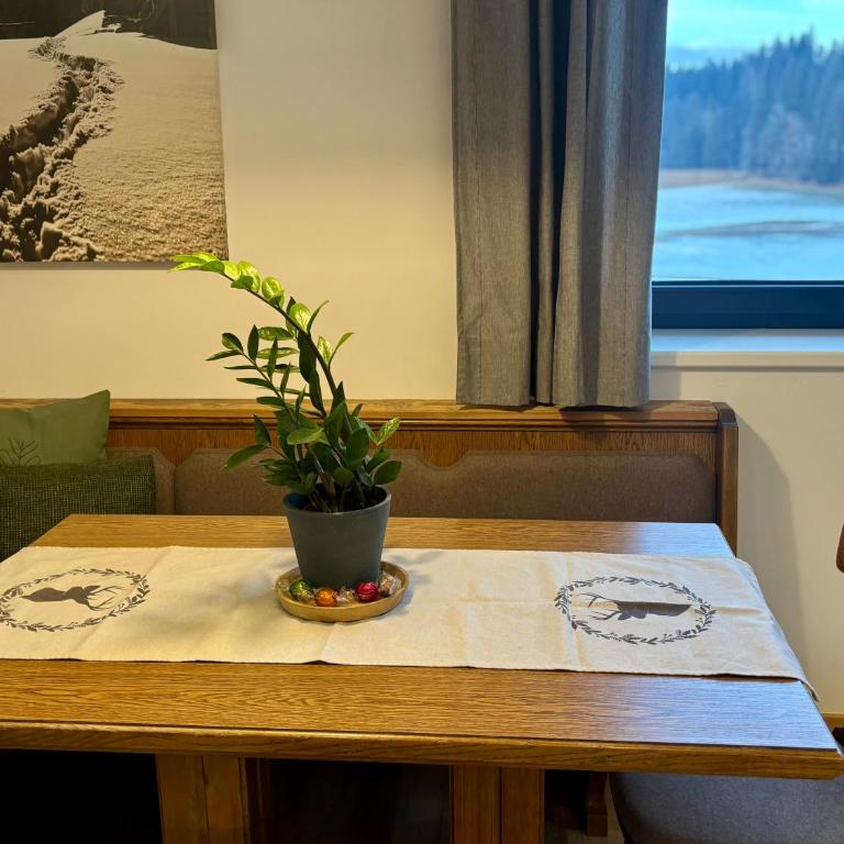 Landhaus Barbara - Two-Bedroom Apartment with Shower - 22