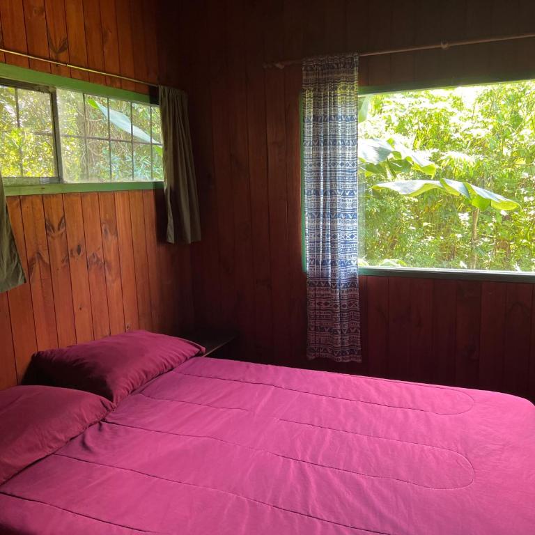 Nativa Iguazu - Bungalow con vistas al jardín - 8