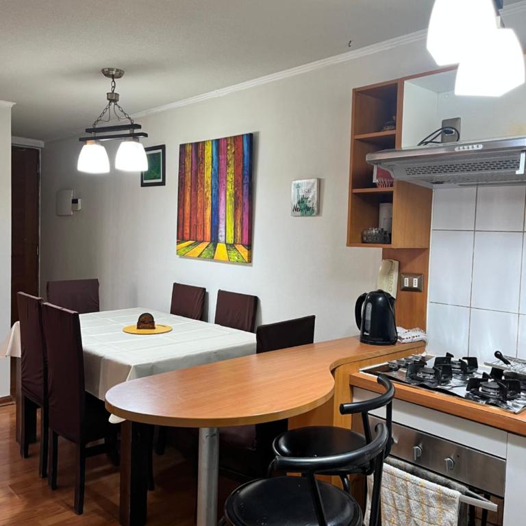 Apartamento Full Equipado Santiago Centro - Apartamento de 2 dormitorios - 91